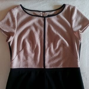 Ann Taylor Dress Size 10P
